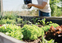 
			
				                                Spring Garden Day will take place from 9 a.m. to 3 p.m. Saturday, April 18, at the Montrose Bible Conference.
                                 Metro

			
		