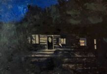 
			
				                                Voyeur by Trinka Ravaioli
                                 Submitted Artwork

			
		