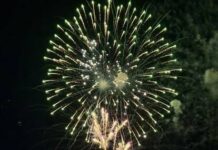 
			
				                                Fireworks will once again light the night sky during the Rotary Club of the Abingtons 40th Annual 4th of July Firework Celebration.
                                 Submitted Photo

			
		