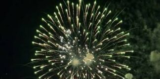 
			
				                                Fireworks will once again light the night sky during the Rotary Club of the Abingtons 40th Annual 4th of July Firework Celebration.
                                 Submitted Photo

			
		