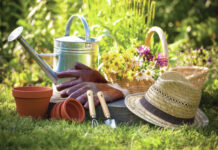 
			
				                                Mountain View Garden Clubs upcoming event will include a plant exchange and marketplace.
                                 Metro

			
		