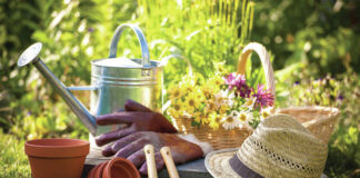 
			
				                                Mountain View Garden Clubs upcoming event will include a plant exchange and marketplace.
                                 Metro

			
		