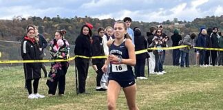
			
				                                Abington Heights senior Anna Pucilowski runs to her third district title.
                                 Tom Robinson | For Abington Journal

			
		