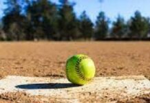 PIAA CLASS 4A SOFTBALL: Lady Comets move into semifinals